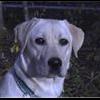 growley803