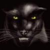 ThePanther
