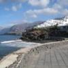 thecanarian