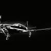 flymesome